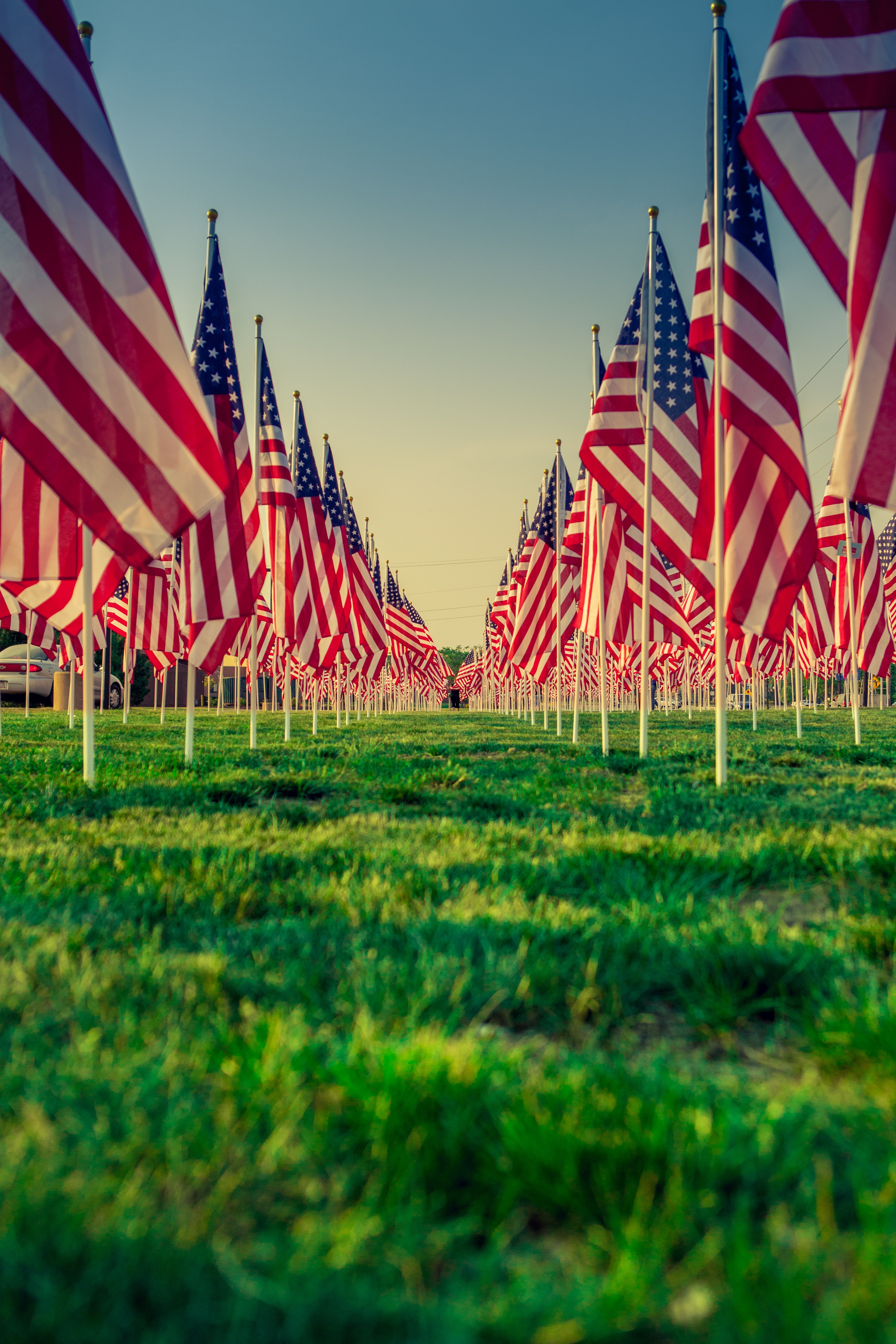 American flags on grass field