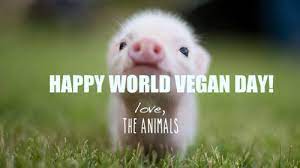 Cute piglet on grass saying happy world vegan day