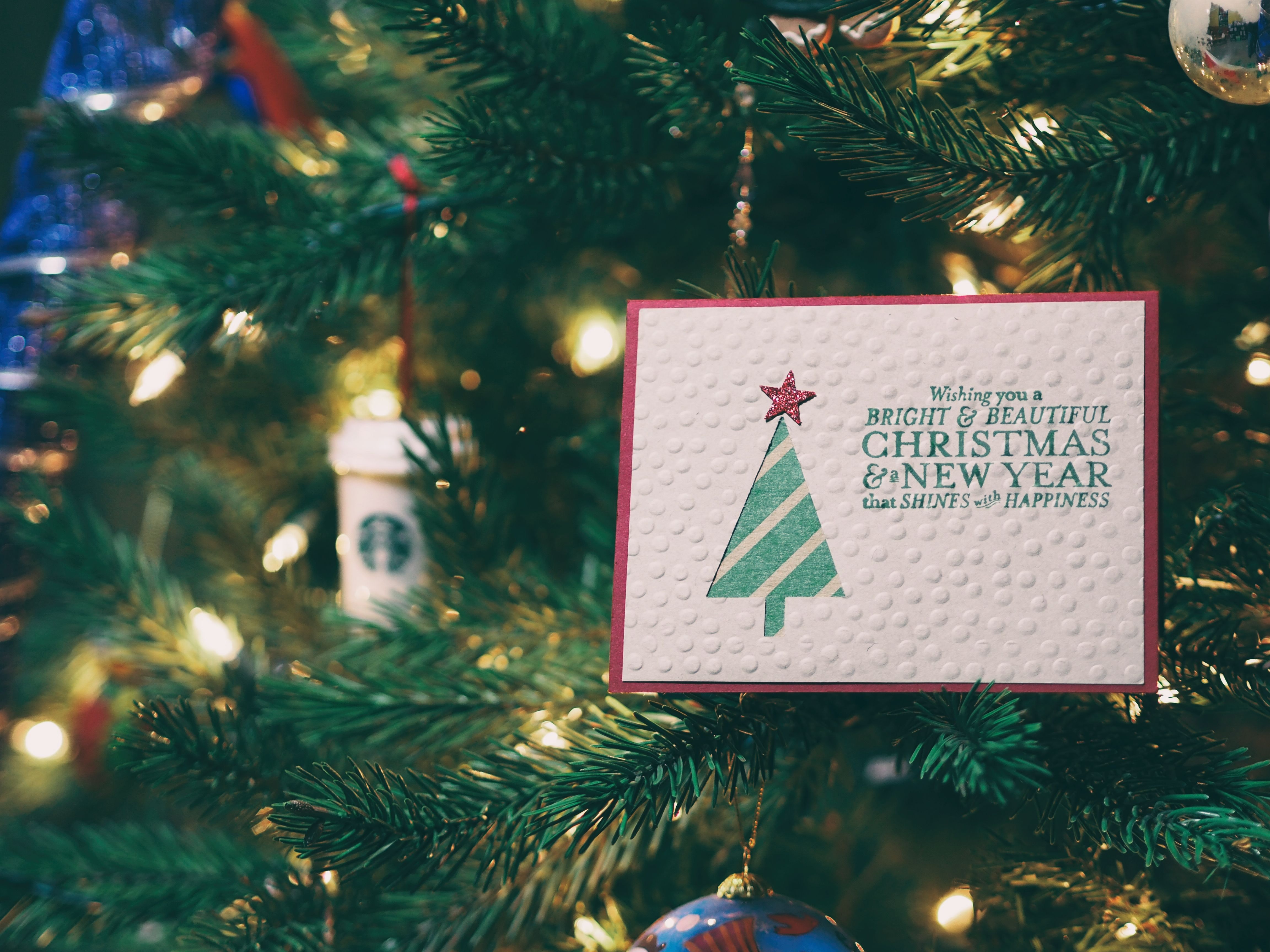 christmas card in tree by aaron burden on unsplash