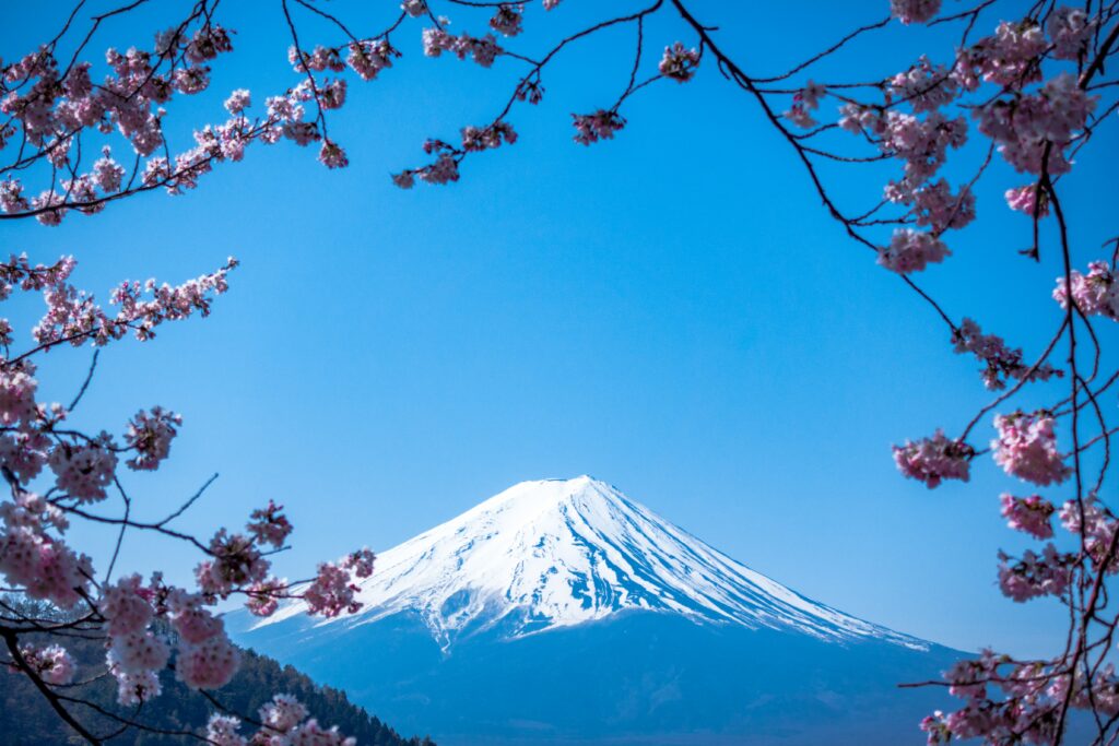 mt fuji with cherry blossoms haiku poetry day by jj ying on unsplash