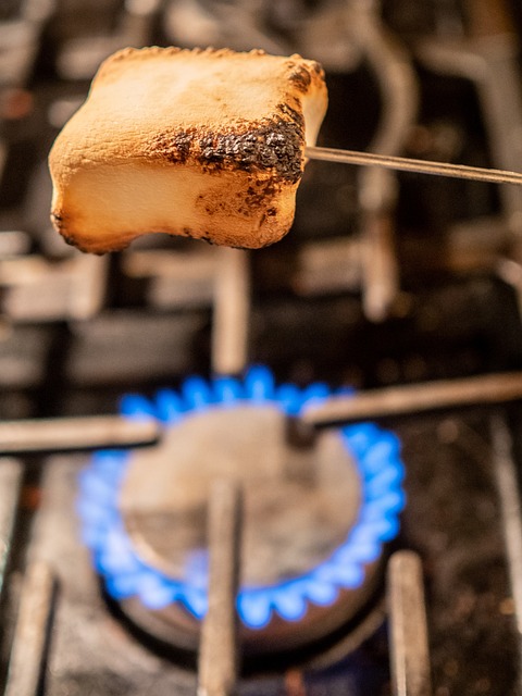 national-toasted-marshmallow-day-pixabay