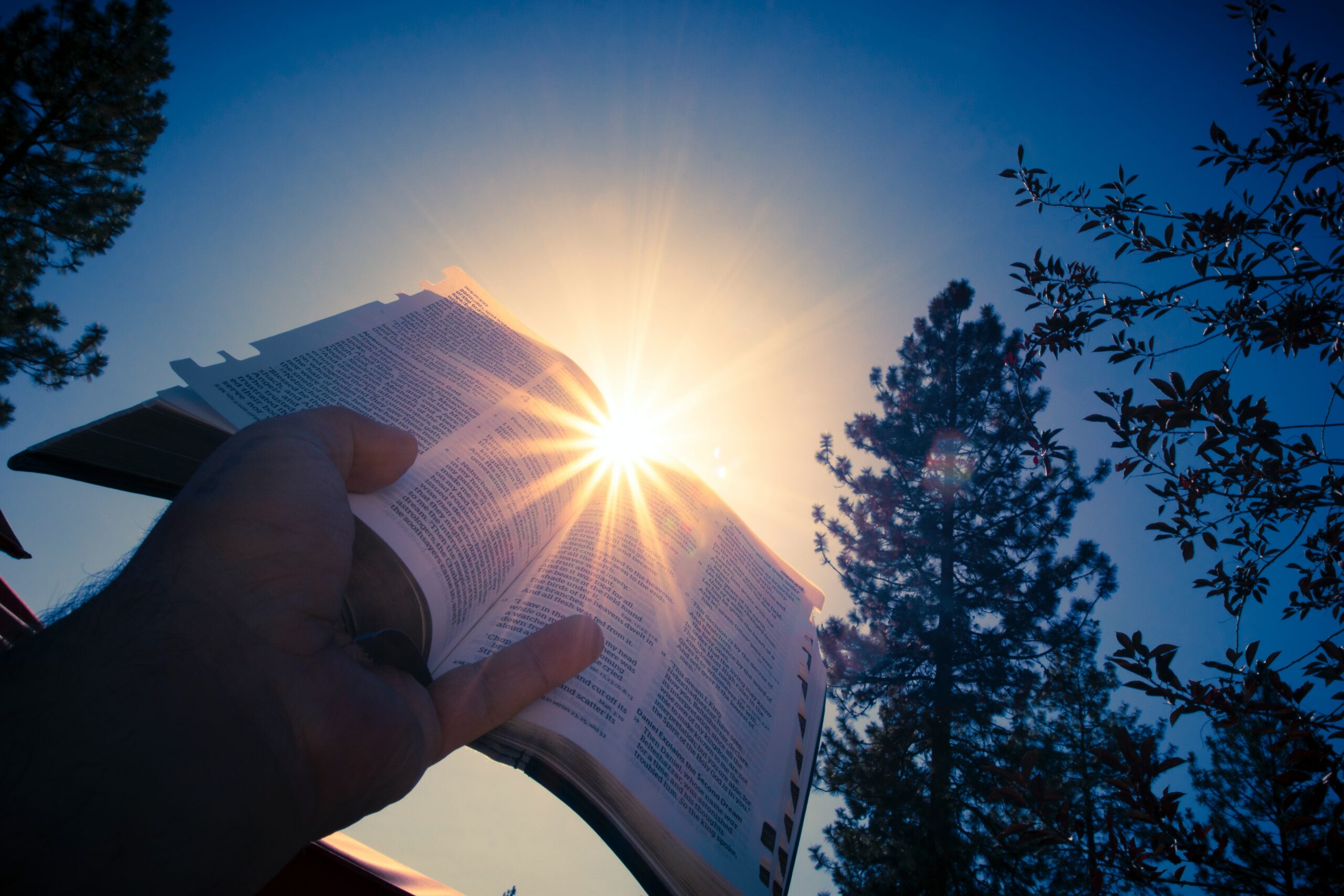 bible with sunray by timothy eberly on unsplash